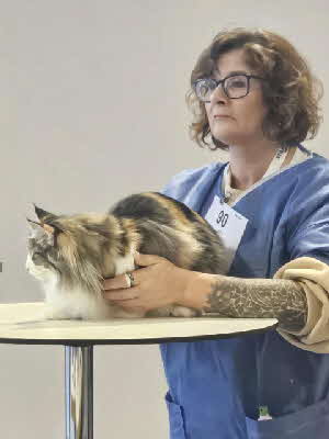 KCH. Violet Sorrengail von Aminius KCH. Violet Sorrengail von Aminius