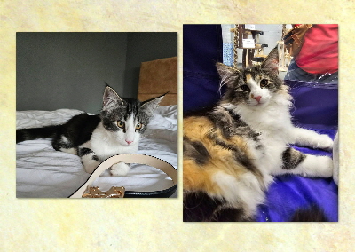 Wurf von Aminius-BIS-06-09-25+07-09-25_3