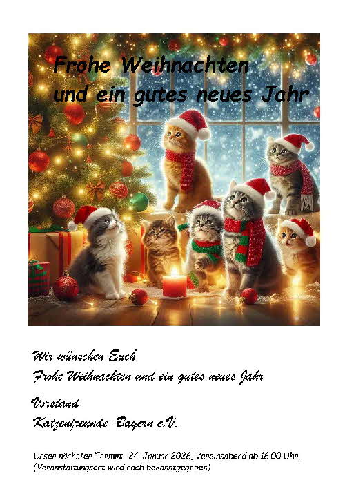 Weihnachten2025neu1